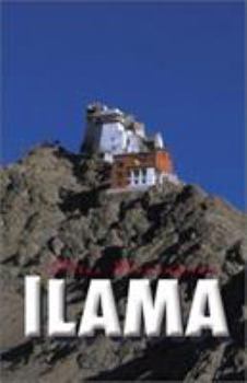 Hardcover Llama Book