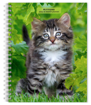 Ring-bound Kittens 2025 6 X 7.75 Inch Spiral-Bound Wire-O Weekly Engagement Planner Calendar New Full-Color Image Every Week Book