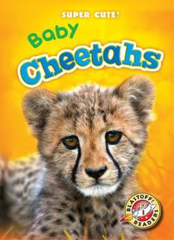 Library Binding Baby Cheetahs Book