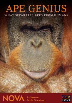 DVD Nova: Ape Genius Book
