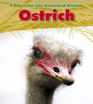 Ostrich - Book  of the A Day In The Life