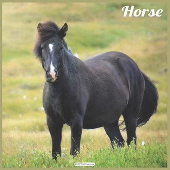 Paperback Horse 2021 Wall Calendar: Official Horse 2021 Wall Calendar 18 months Book