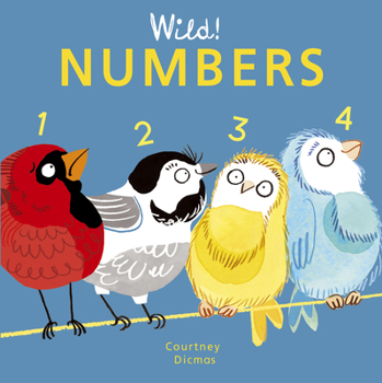 Board book Numbers Book