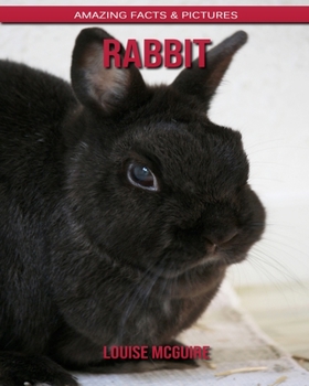 Rabbit: Amazing Facts & Pictures