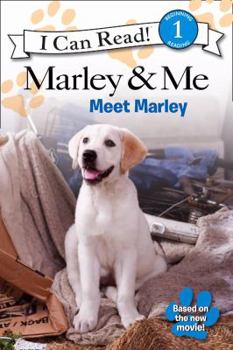 Paperback Meet Marley: I Can Read! ("Marley and Me") Book