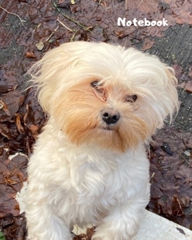 Paperback Notebook: 100 page journal paper notebook. Keep all your writing and notes organised in one book. Cute maltese dog with black & Book