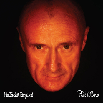 Vinyl No Jacket Required Book