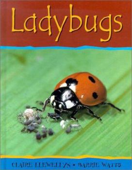 Library Binding Ladybugs Book
