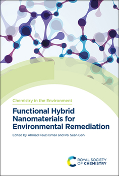 Hardcover Functional Hybrid Nanomaterials for Environmental Remediation Book