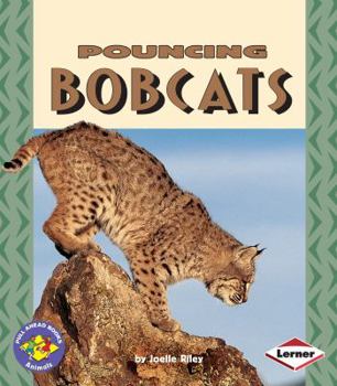 Pouncing Bobcats - Book  of the Pull Ahead Books ~ Animals