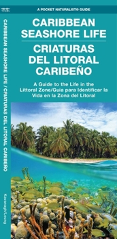 Paperback Caribbean Seashore Life / Criaturas del Litoral Caribeño Book