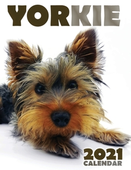 Paperback Yorkie 2021 Calendar Book