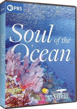 DVD Nature: Soul Of The Ocean Book