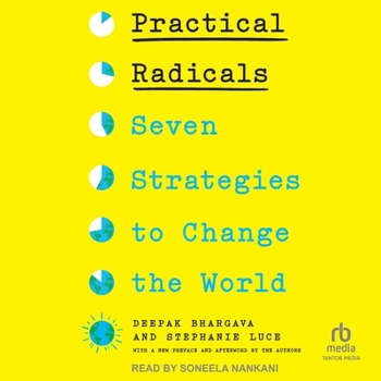 MP3 CD Practical Radicals: Seven Strategies to Change the World Book