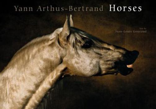 Hardcover Horses Book