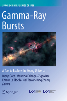 Paperback Gamma-Ray Bursts: A Tool to Explore the Young Universe Book