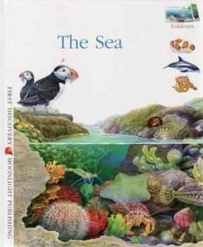 Hardcover The Sea Book