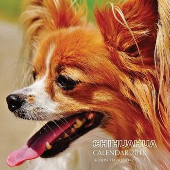 Paperback Chihuahua Calendar 2018: 16 Month Calendar Book