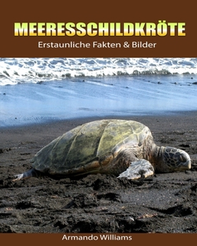 Paperback Meeresschildkr?te: Erstaunliche Fakten & Bilder [German] Book