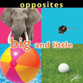 Paperback Opposites: Big and Little (Concepts) Book