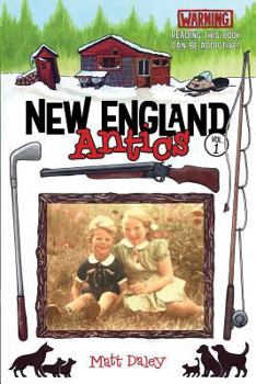 Paperback New England Antics Book