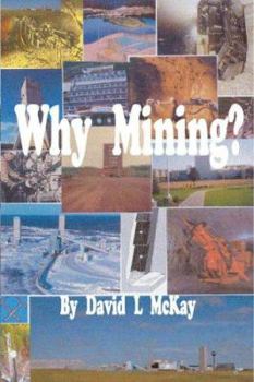 Paperback Why Mining? Book