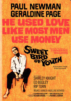 DVD Sweet Bird Of Youth Book