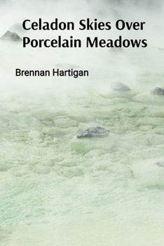 Paperback Celadon Skies Over Porcelain Meadows: A Ceramicist's Odyssey Through Form, Texture, and Translucence Book