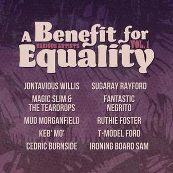 Vinyl A Benefit For Equality Vol. 1 Book