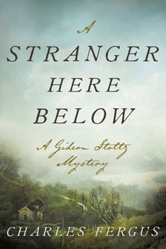 Hardcover A Stranger Here Below: A Gideon Stoltz Mystery Book