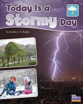 Paperback Today Is a Stormy Day Book