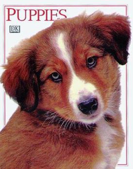 Hardcover Puppies Book