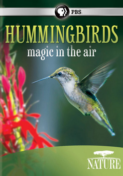 DVD Nature: Hummingbirds - Magic in the Air Book