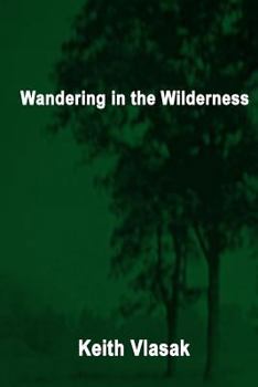 Paperback Wandering in the Wilderness: (Kinky, Quirky, and Desperation Stories) Book