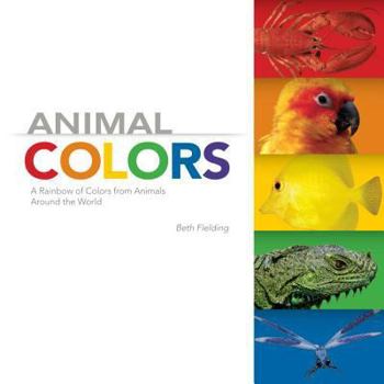 Hardcover Animal Colors Book