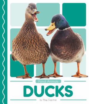 Library Binding Ducks Book