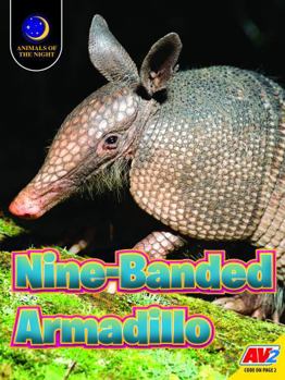 Nine-Banded Armadillo