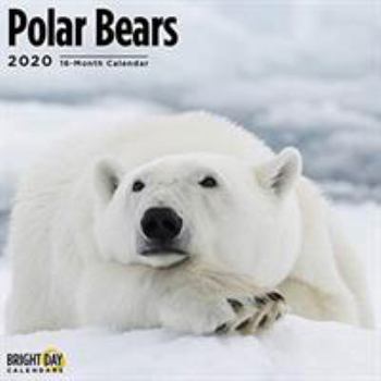 2020 Polar Bears