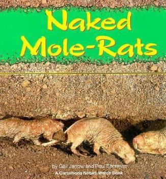 Hardcover Naked Mole-Rats Book