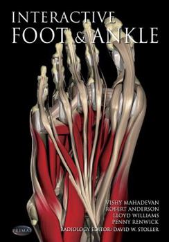 Interactiver Foot and Ankle