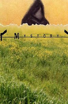 Paperback MyStory Book