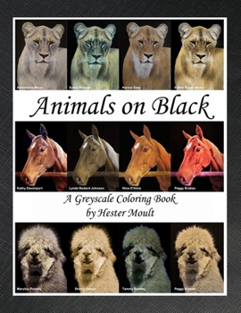 Paperback Animals on Black: A Greyscale Coloring Book