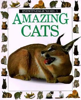 Paperback Amazing Cats Book