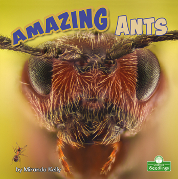 Paperback Amazing Ants Book