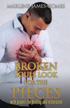 Paperback Broken Souls Look for the Pieces Book