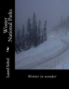 Winter National Parks