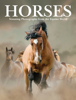 Hardcover Horses: Stunning Photographs from the Equine World Book