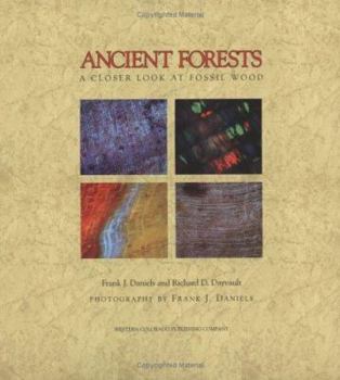 Hardcover Ancient Forests: A Closer Look at Fossil Wood Book