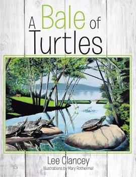 Paperback A Bale of Turtles Book