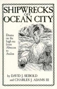 Paperback Shipwrecks Off Ocean City Book